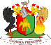 Coventry Coat of Arms